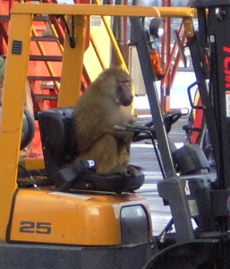 monkey_forklift