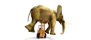 elephant_forklift