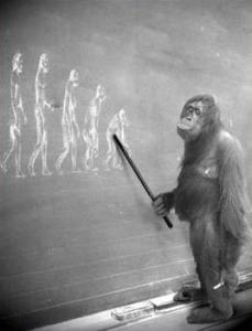 monkey_teacher