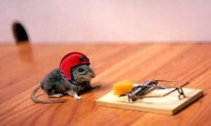 mouse_trap