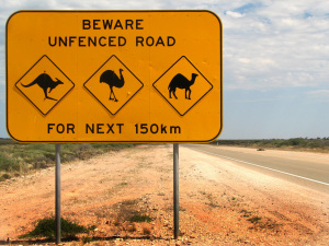 Australia_animal_warning_sign