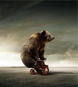 bear-on-bicycle-1