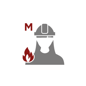 Curso para trabajadores sobre el equipo de emergencia contra incendios- Riesgo medioetti alla Squadra di Emergenza Antincendio – Rischio Medio